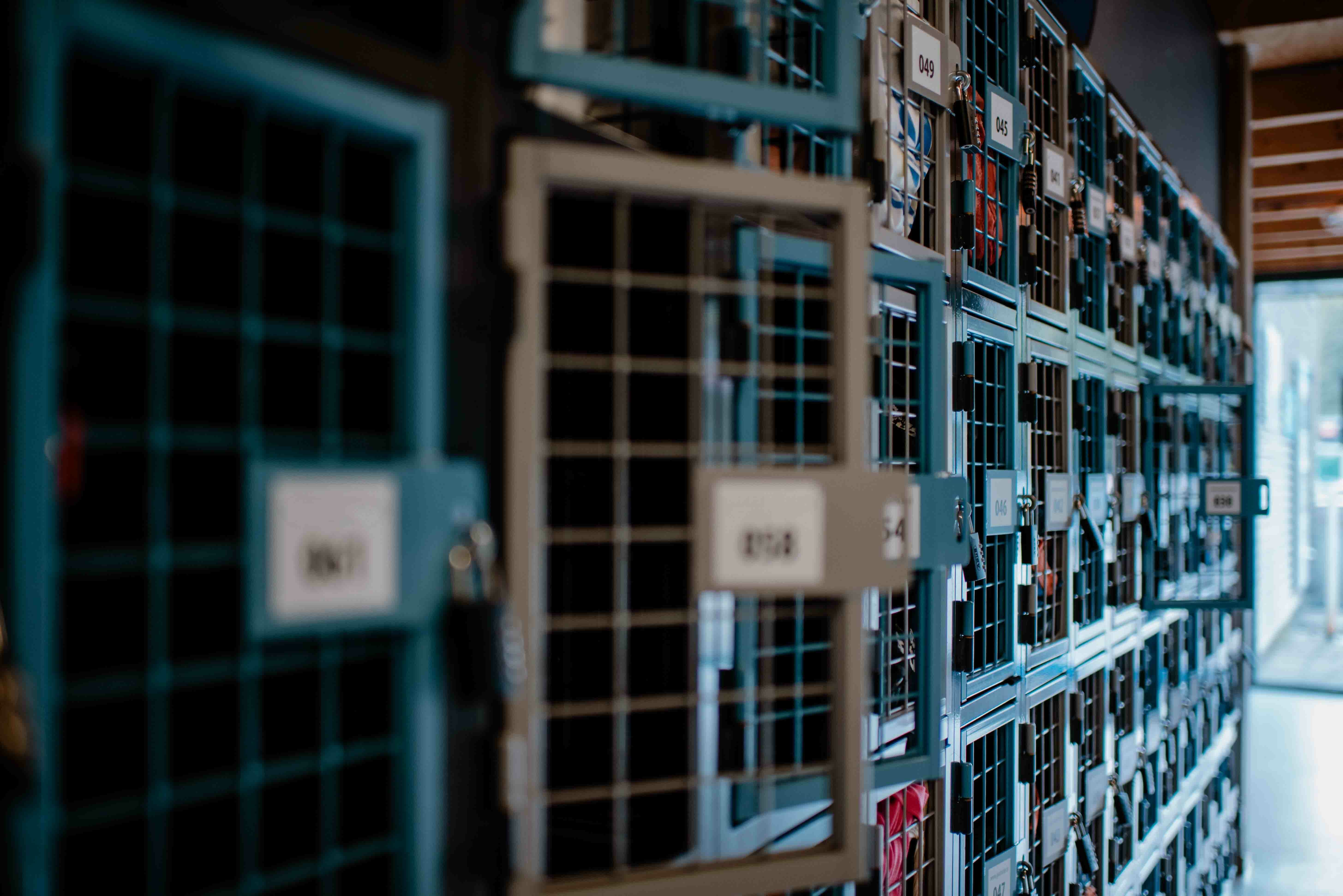 Lockers voor het opbergen van natte sportspullen