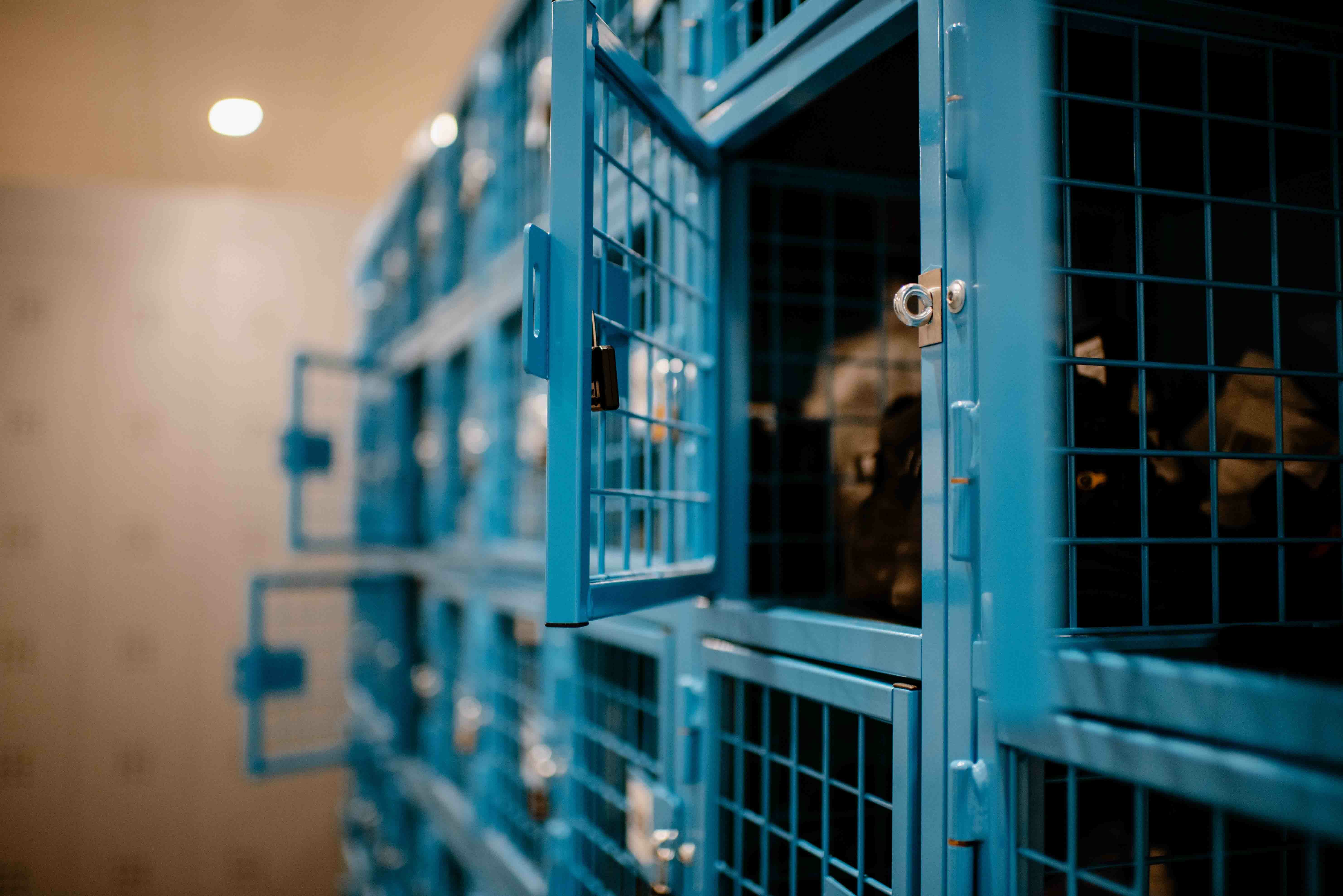 Gaaslocker voor koel en vriesruimte bij Distributiecentrum Hoogvliet 2