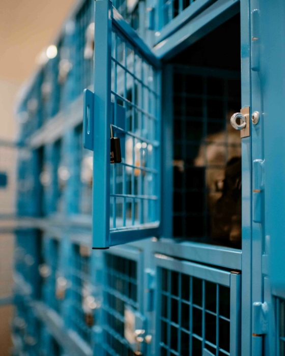 Gaaslockers hoogvliet distributiecentrum koel en vriesruimte