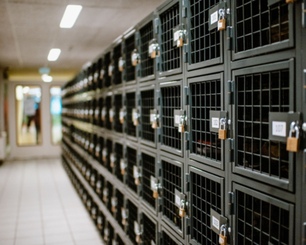 Lockers voor studenten transparantie