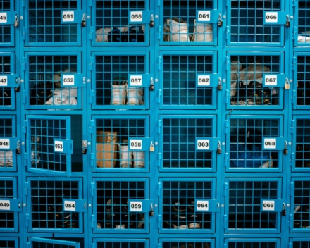 Schoenenlockers blauw Schoenenlockers blauw